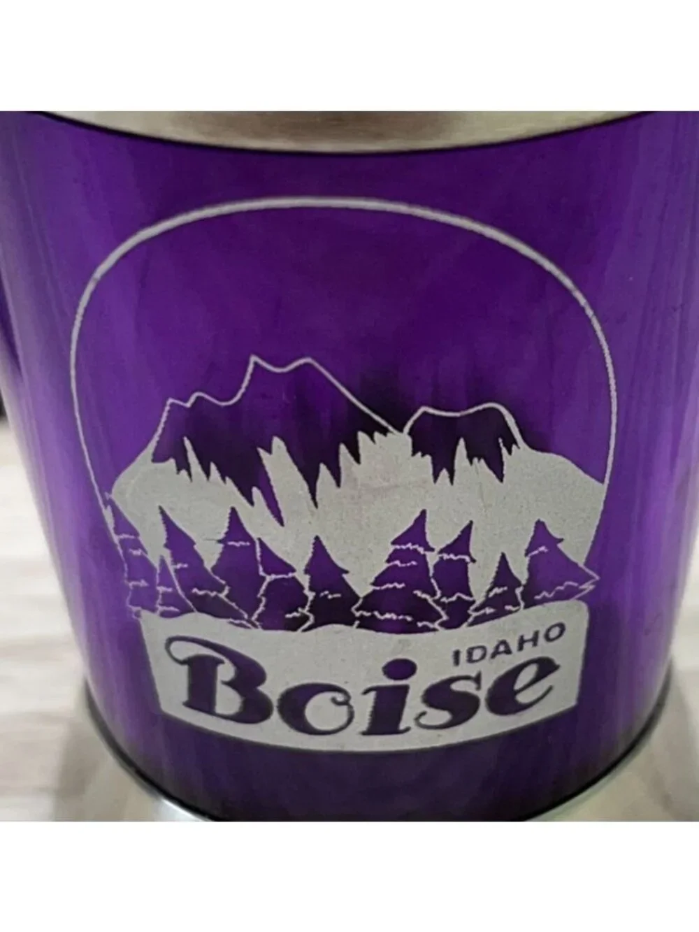 Boise Idaho Shot Glass Stainless Steel Mountain Trees Purple Souvenir Barware
